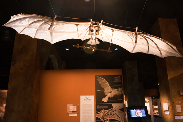 ariel bat